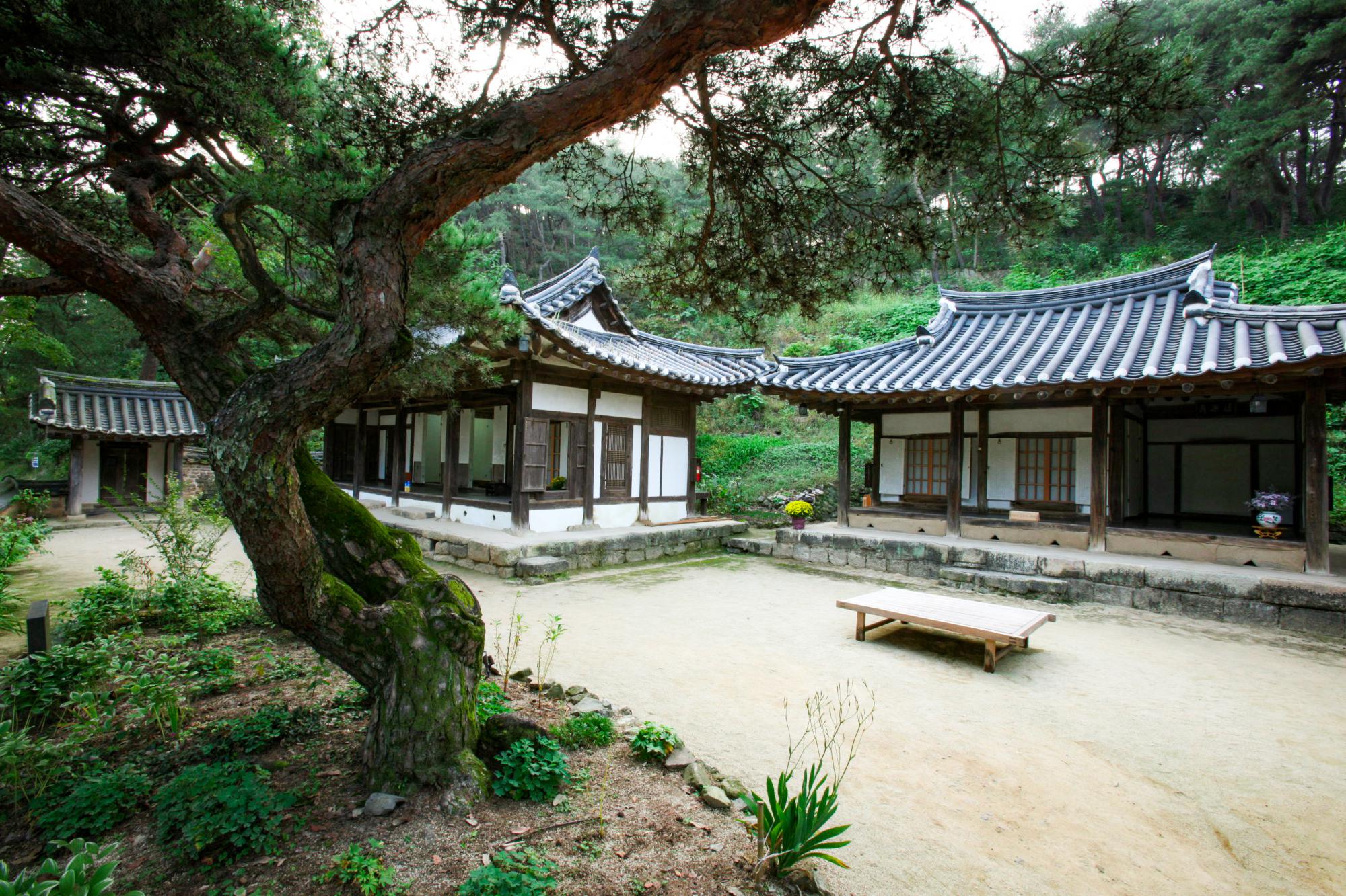 옥연정사